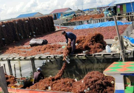 Perkuat Samboja Menjadi Primadona Sektor Kelautan di Pesisir Kukar