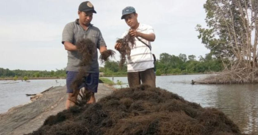 DKP Kukar Upayakan Hasil Laut ke Pasar Global