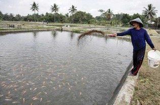 DKP Kukar Ajak Masyarakat Daerah Terpencil untuk Budidaya Ikan