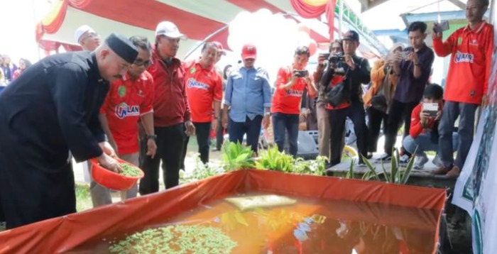 Inovasi Kolam Filter DKP Kukar Cegah Stunting di Daerah Sulit Air