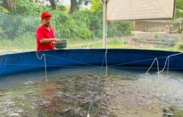 DKP Kukar Tidak Menganjurkan Budidaya Ikan di Kolam Pasca Tambang