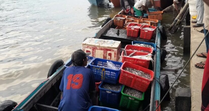 Kukar Targetkan Peningkatan Produksi Perikanan Melalui Sinergi Sektor Tradisional dan Budidaya