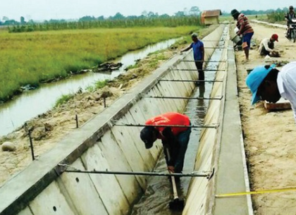 Desa Sebuntal Bangun Infrastruktur Pertanian, Dorong Ketahanan Pangan yang Berkelanjutan