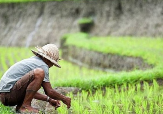 Desa Loa Pari Perkuat Ketahanan Pangan dengan Fokus pada Irigasi dan Revitalisasi Pertanian