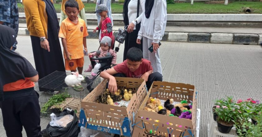 Shaza Home : Dari Hobi Berkebun Menjadi Usaha Sukses Bibit Tanaman dan Ternak