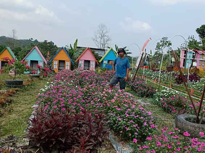 Agrowisata Swargo Tani di Desa Tani Bakti Menjadi Daya Tarik Baru Wisata Alam