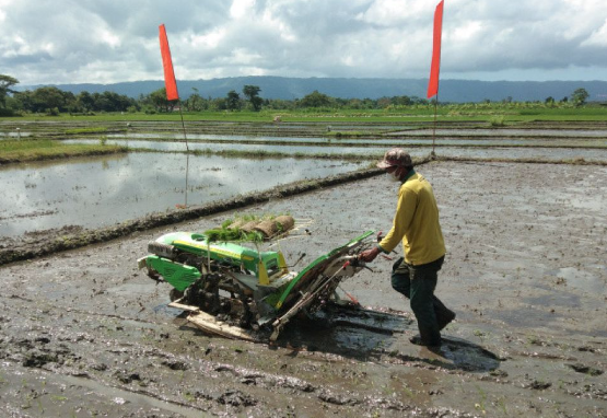 Distanak Kukar Fokus Tingkatkan Produktivitas Pertanian Hulu