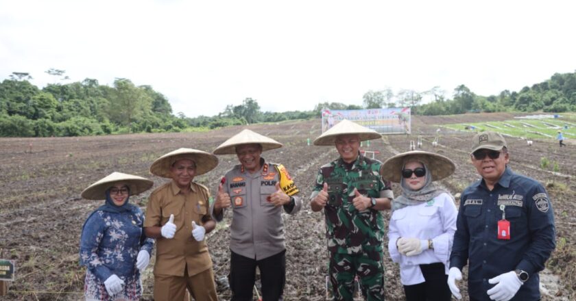 Program Penanaman Jagung Satu Juta Hektar, Langkah Strategis Meningkatkan Ketahanan Pangan