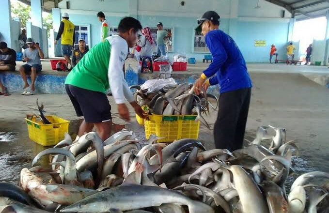 DKP Kukar Maksimalkan Fungsi Infrastruktur Perikanan, Bangun Jetty di Empat Kecamatan