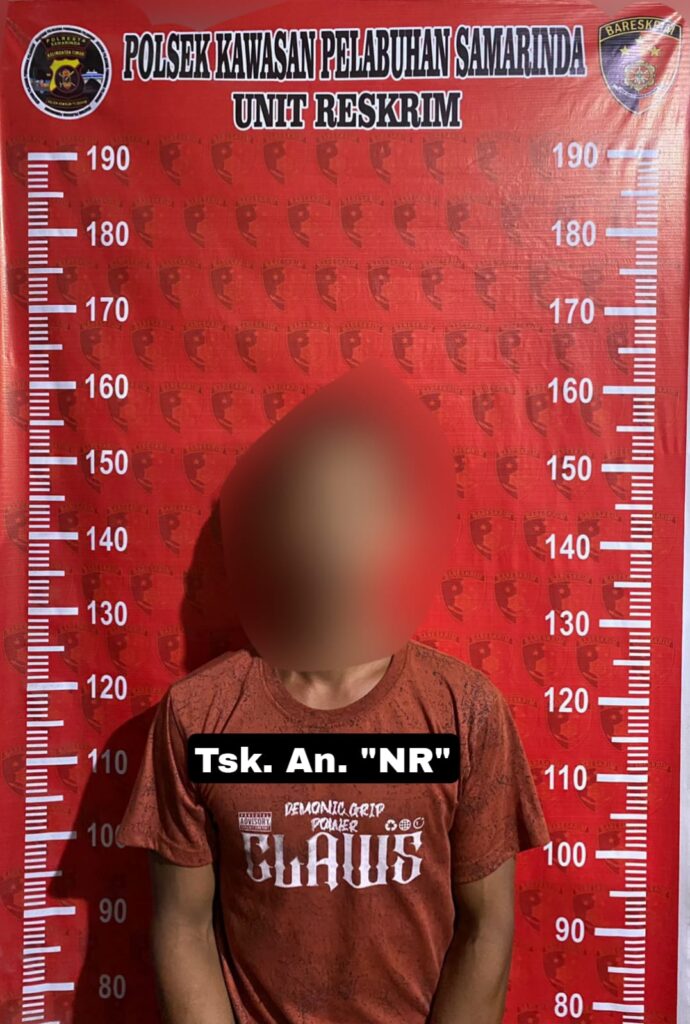 Buru Pengedar di Pelabuhan, Polisi Sita 11 Paket Sabu