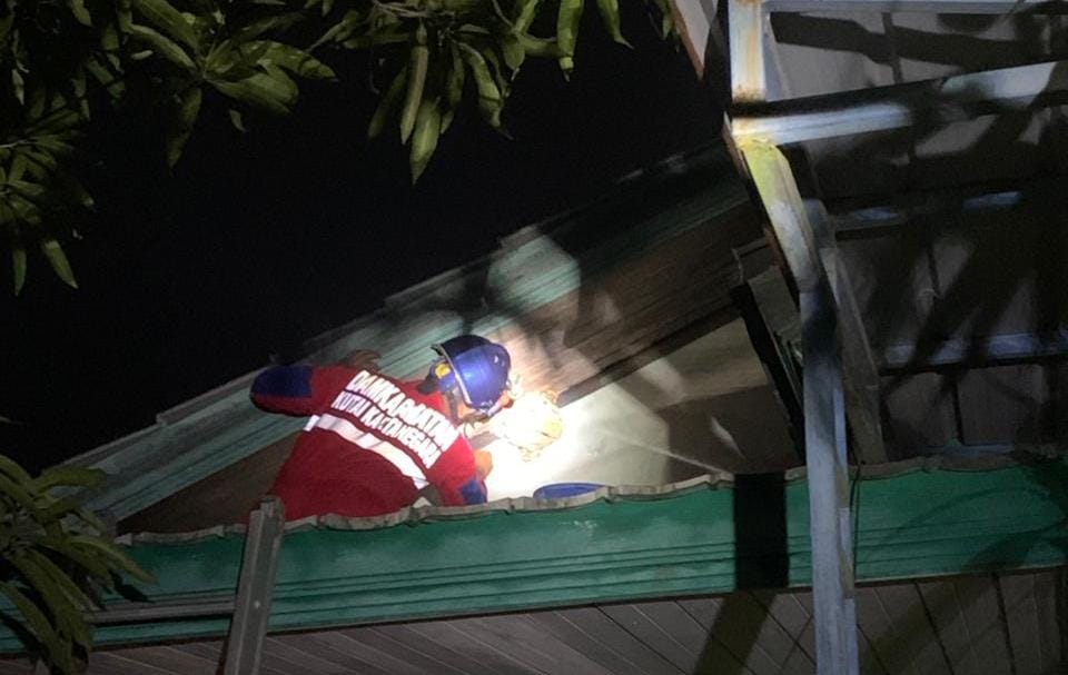 Petugas Damkarmatan Kukar Tangani Sarang Tawon di Perum Korpri Tenggarong