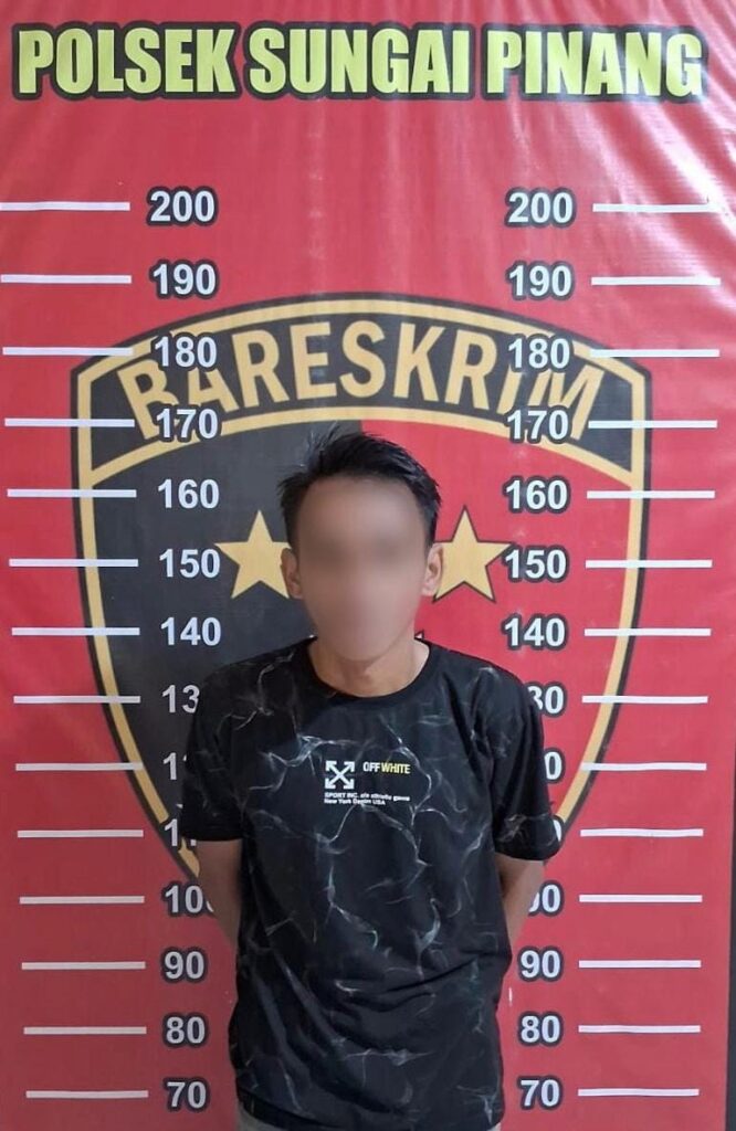 Demi Biaya Pengobatan Istri, Mobil Digadai dan Berujung Penggelapan