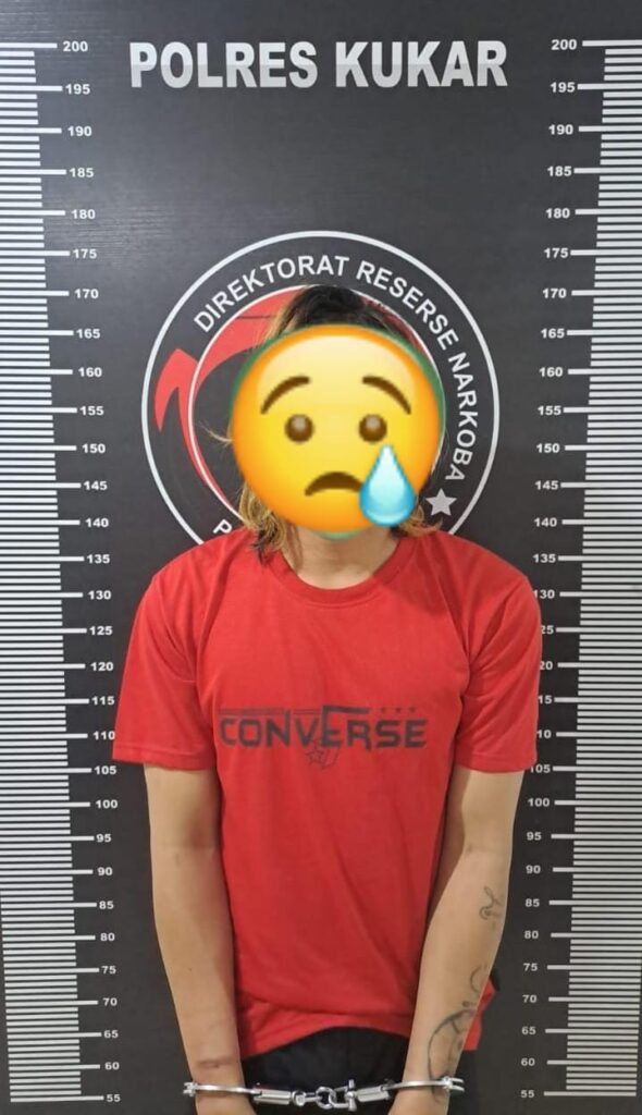 Jagain Anak di Rumah, Pria di Kota Bangun Ditangkap Polisi karena Simpan Sabu di Samping Kasur